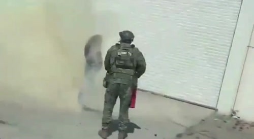 Woman Stung 200 Times