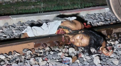 Train Suicide Decapitation