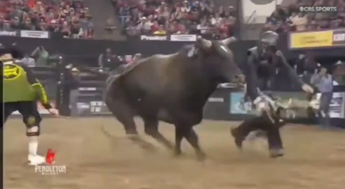 Bull Sends One Flying (with slo-mo replay)