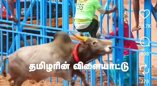 Indian Redbull power