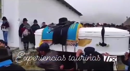 Now THIS Is A Bull Ride!