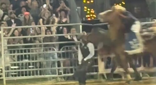 Black Cowboy Shows Off