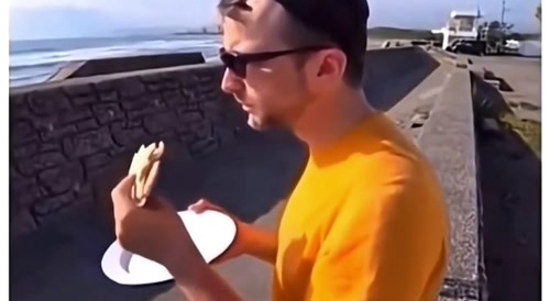 The bird steals the bread from the man's hand.