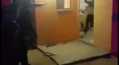 Dog tackles machete-wielder