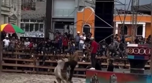 Your Idiot Of The Day...