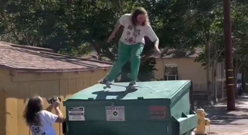 Skateboard flip flap