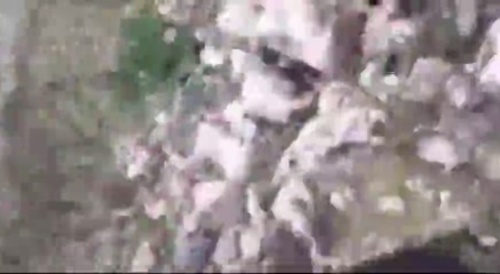 Base Jumper forgot to open Parachute