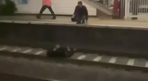 The next train is mine