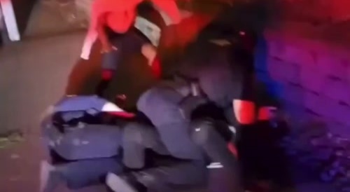 Thug Tries to Grab Cops Gun