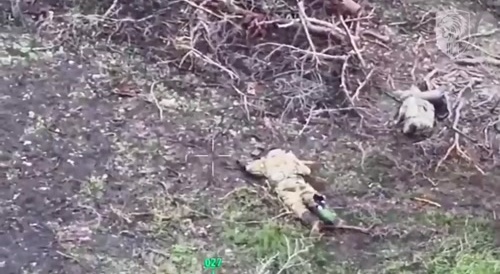 Russian soldier, torn half after being hit FPV drone