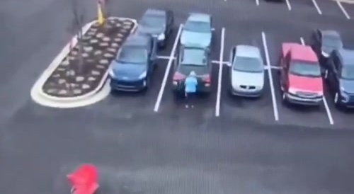 Red Shopping Cart Attacks Old Lady