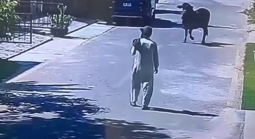 You're Idiot Of The Day...