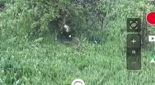 IQ of a russian soldier