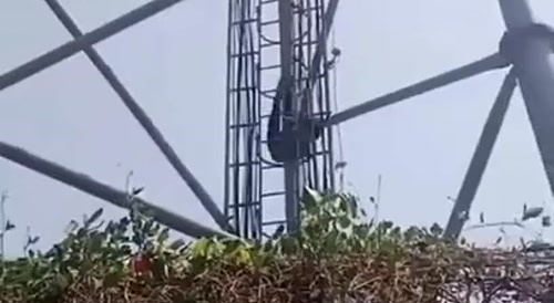 He Hit Everything On The Way Down