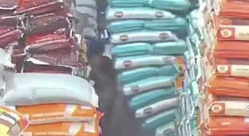 Rice Bags Crush A Shopper To Death
