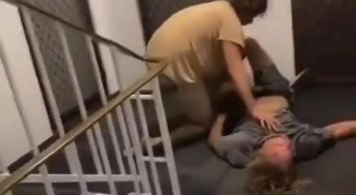 Urban Jungle Mating Ritual