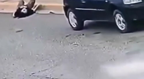 Latina chick brakes