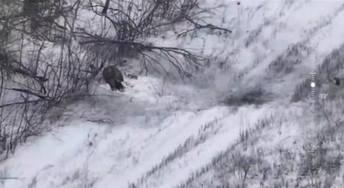 The destruction of Ukrainian saboteurs. Guts hanging from the trees.