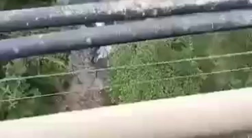 Man jumps off of bridge for reasons unknown!