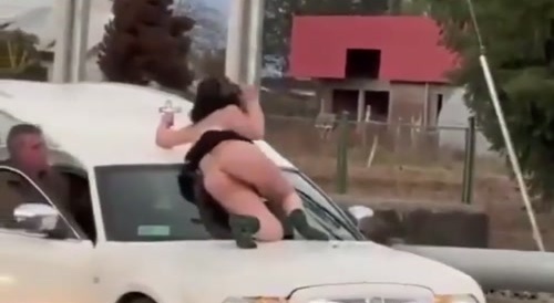 Windshield Maid Fired