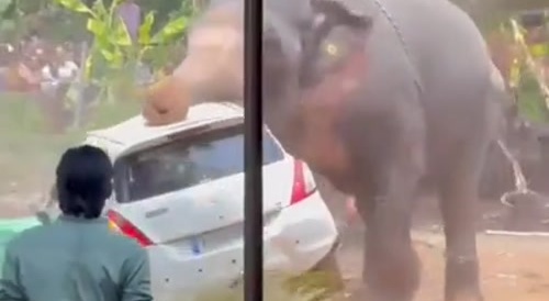 Elephant Sends Warning By Wrecking Car