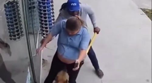 Dangerous dog attacks