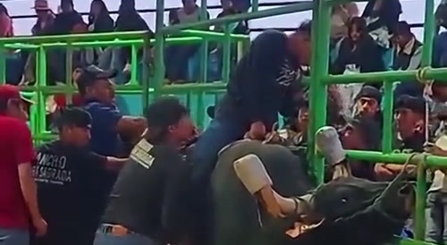 bull rider gets a proper pounding