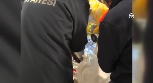Medical intervention for a man impaled by rebar.
