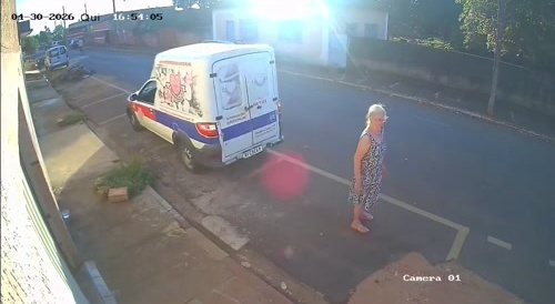 Dog To The Rescue!