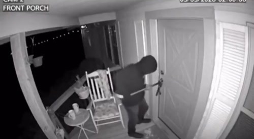 Home Invader Attacke By Angry Dog