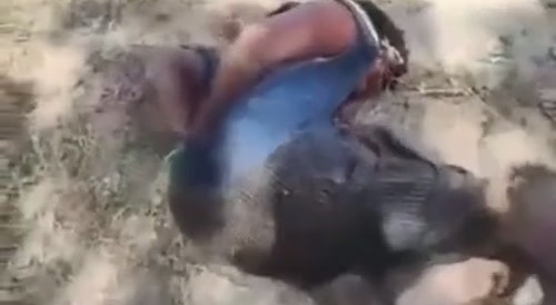 Cruelty In Myanmar