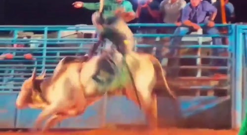 Cowboy Gets Trampled