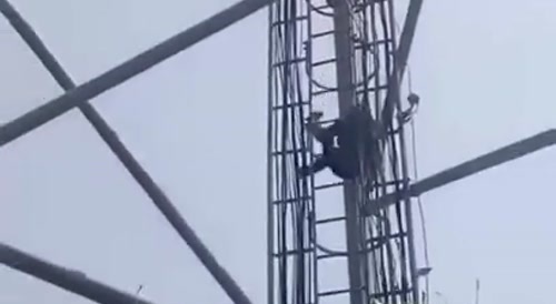 Bollywood Fall