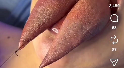 Snake tongue stitch