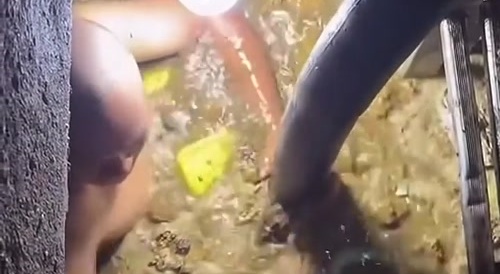 Man has the Crappiest Job in Shitstain Country