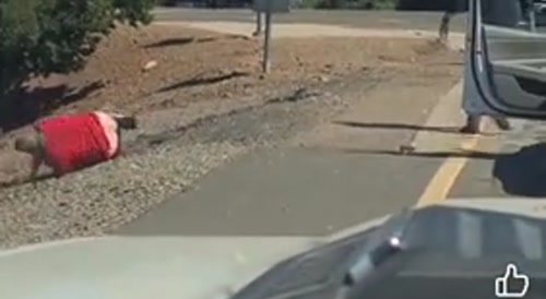 White Trash Road Rage Fight