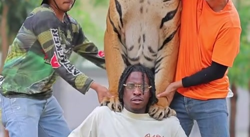Apex Predator
