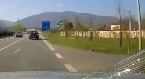 Biological Potato Delivery System