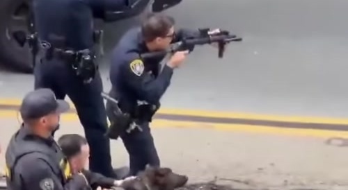 K9 Enforcer Takes Down Urban Despot