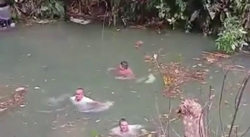 Steel Dam Failure