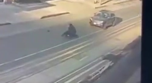Trader Joe's Shoplifter Killed by Oblivious Driver