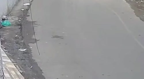 Woman tries to stop phone thief, fails