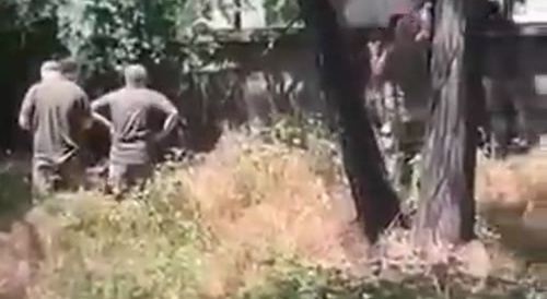Ukrainian pig farmers take away mentally ill people