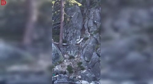 swing rope dive gone wrong