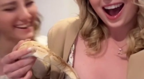 Snake booby bits