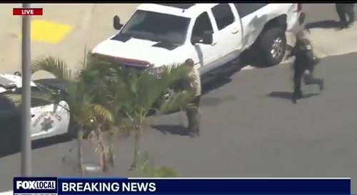 Carjacker Meets a Vicious K9