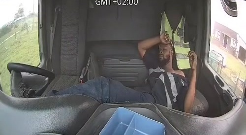 Stupidity in motion