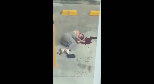 La Mona Is Shot Dead