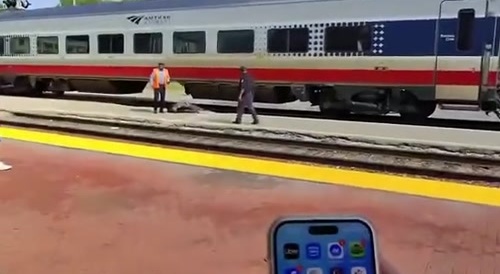Train Death In Kalamazoo