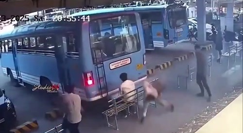 Bus almost hits the people sitting on the bench